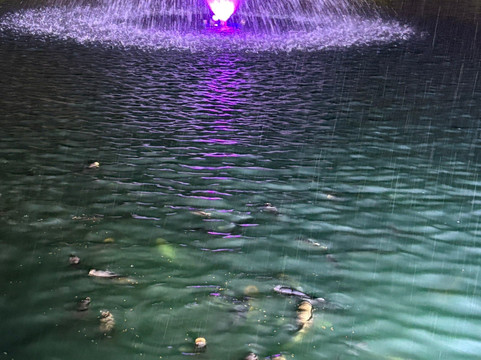 Halloweenville-Culcheth必去景点