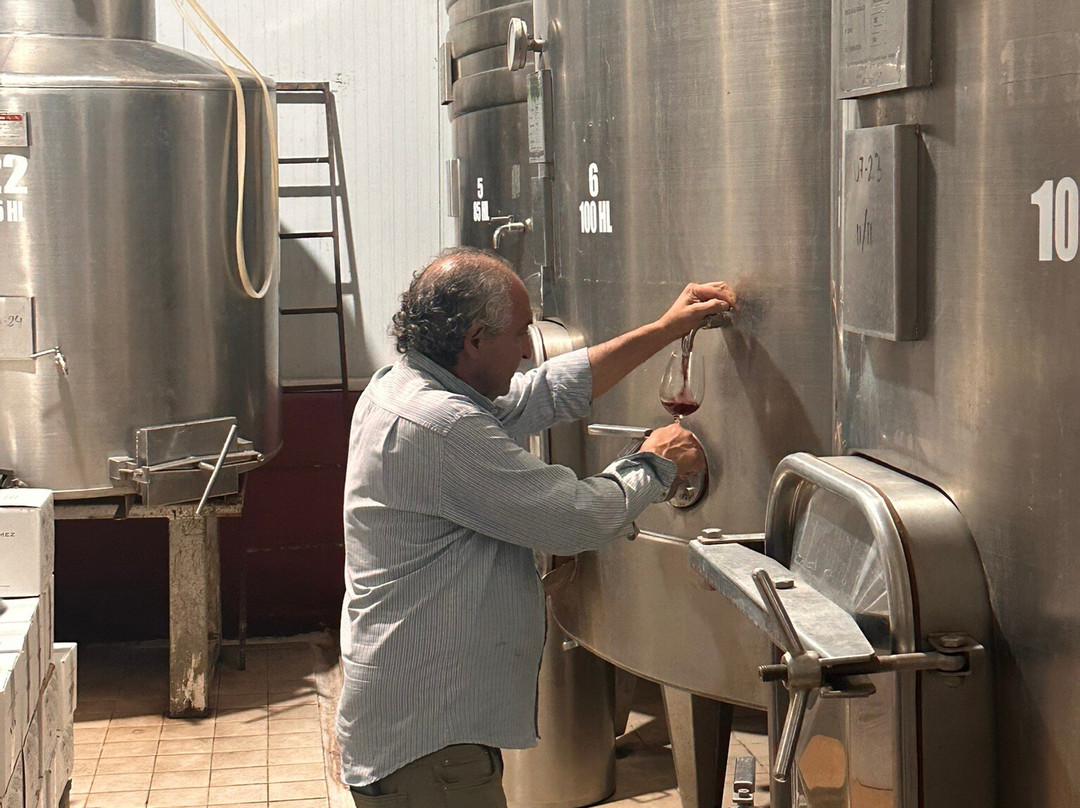 Laureano Gomez Winemaker-Colonia Las Rosas必去景点