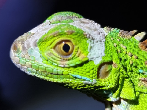 Tarantulas Way-卡维塔必去景点