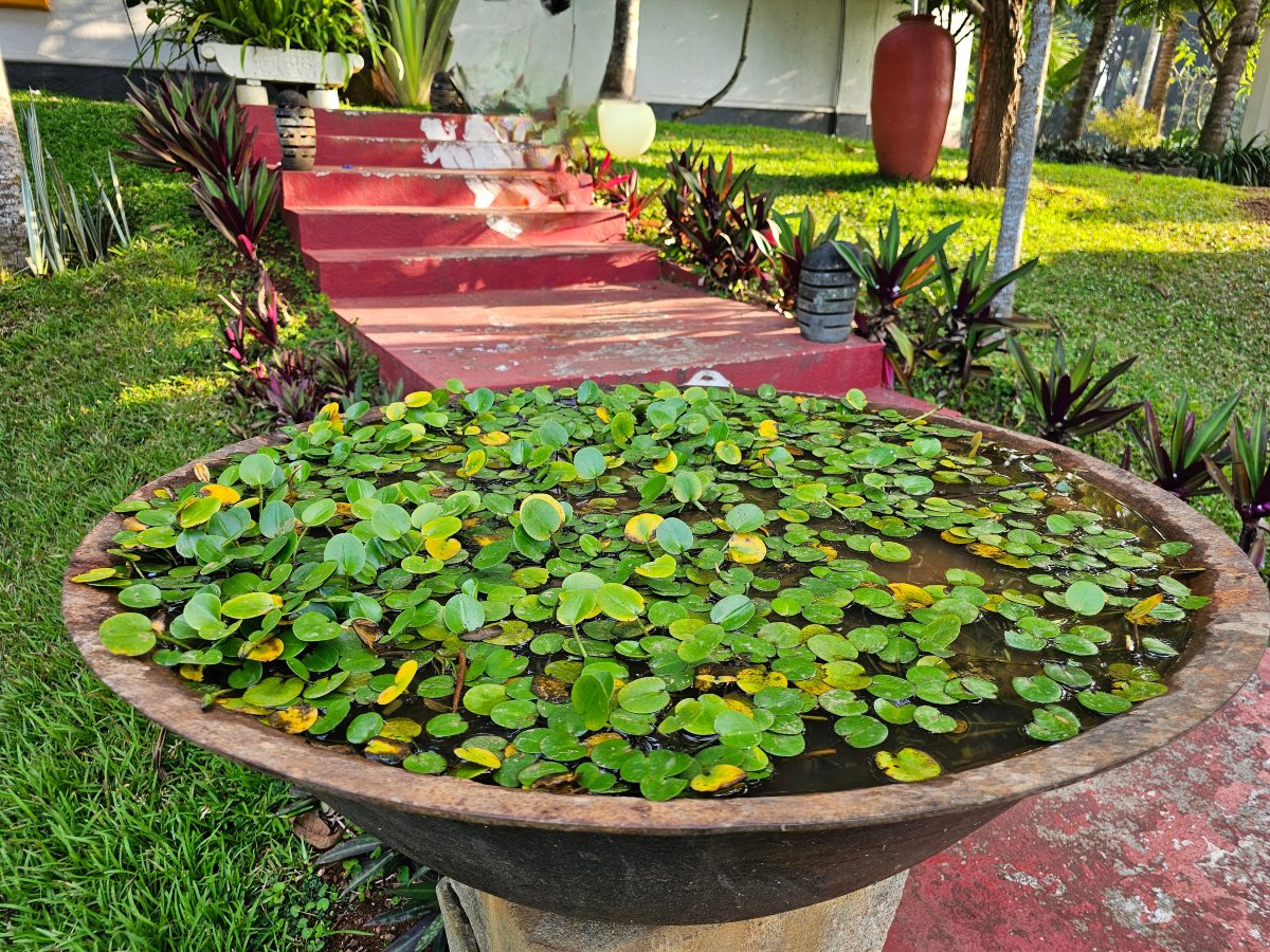 山顶度假村-官方