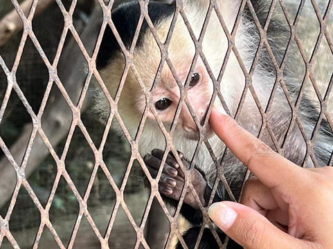 Jungla de Panama Wildlife Refuge-波魁特必去景点