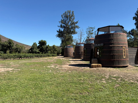 Viña Ballek-Isla de Maipo必去景点