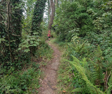 Looe Island-卢城必去景点