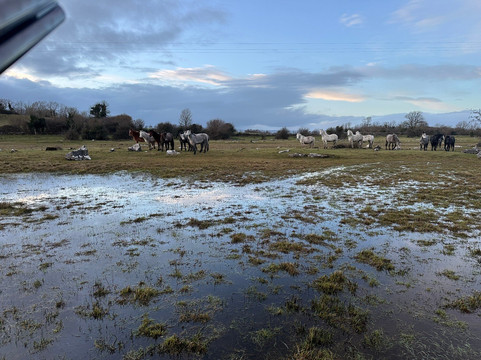 瑞安河洛奇度假屋住宿加早餐旅馆主图
