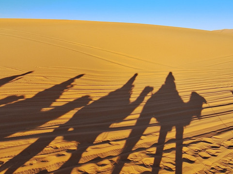 Enjoy Sahara Tours-马拉喀什必去景点
