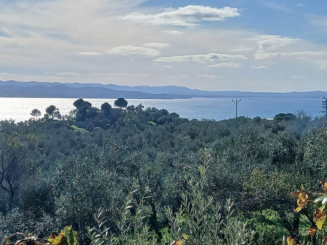 Kaz Mountains-巴勒克西尔必去景点