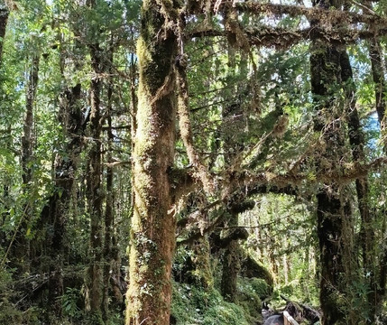 Ventisquero Yelcho-Chaiten必去景点