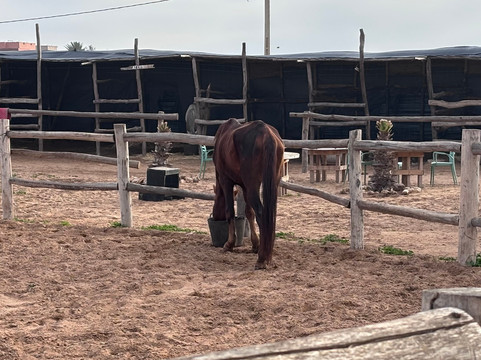 Cheval Agadir Ranch Acienda-奥瑞尔必去景点