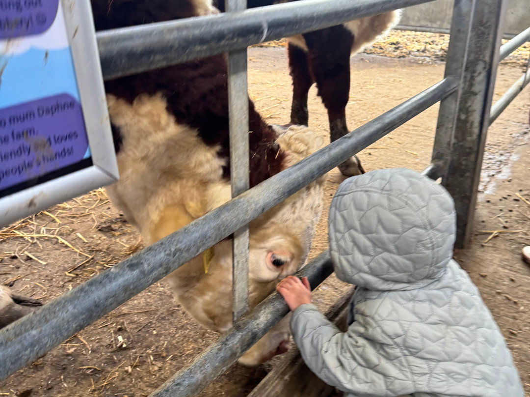 Thrift Farm-Whaddon必去景点