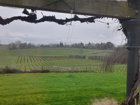 Three Choirs Vineyard-Newent必去景点