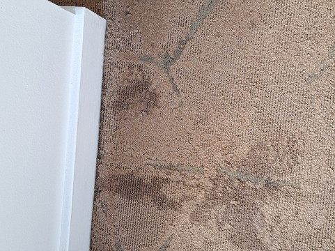 毛伊岛喜来登度假酒店及水疗中心主图