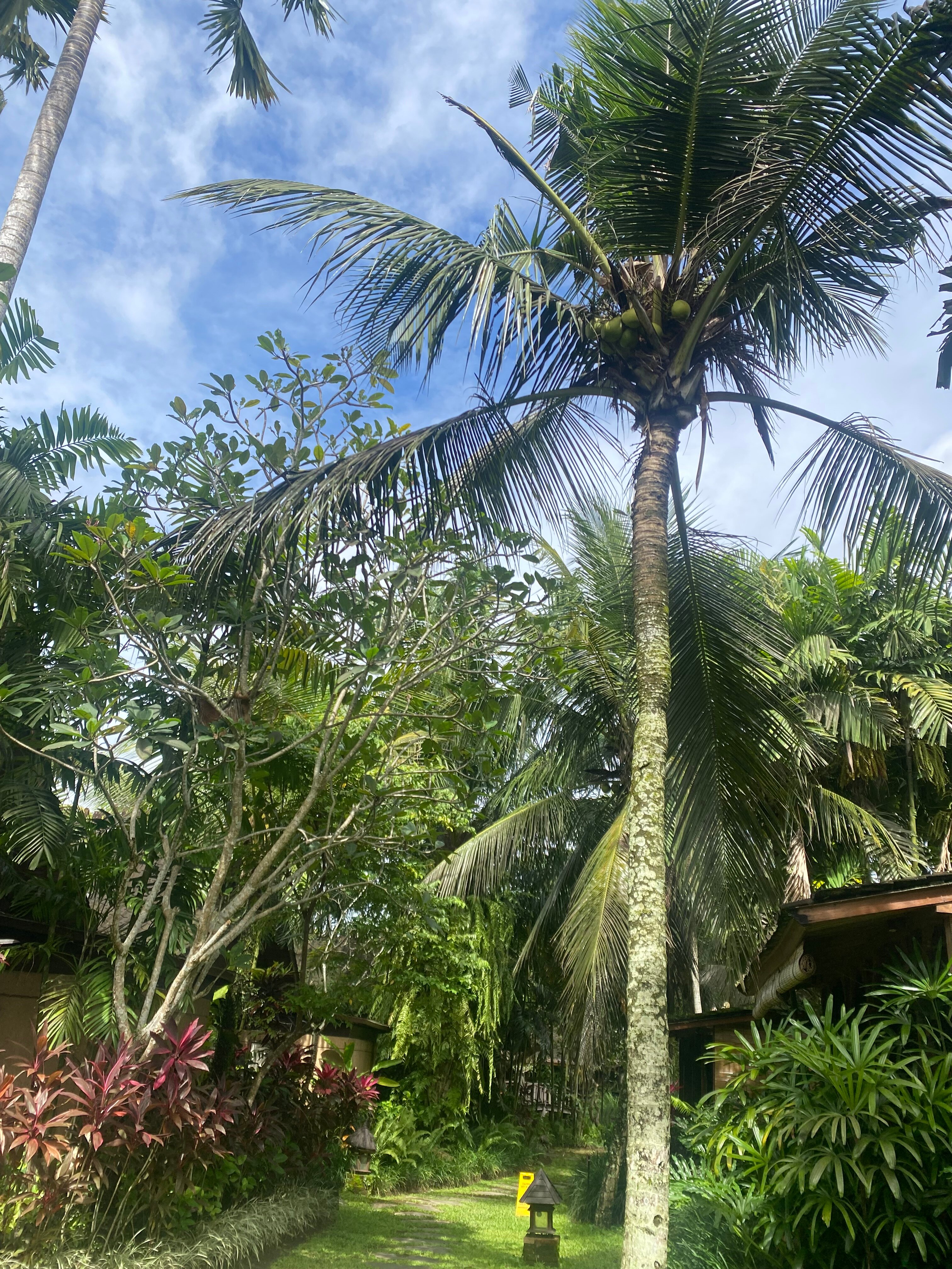 乌布艾莉亚别墅酒店-浴室