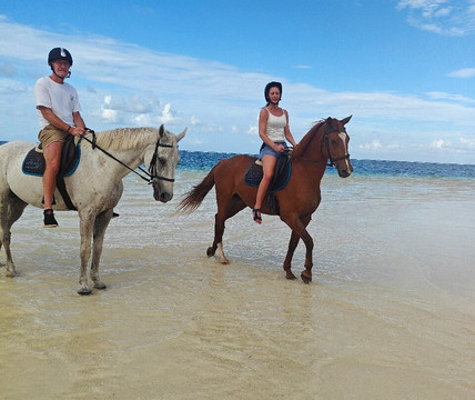 Legasea Stables Mauritius-Quatre Cocos必去景点