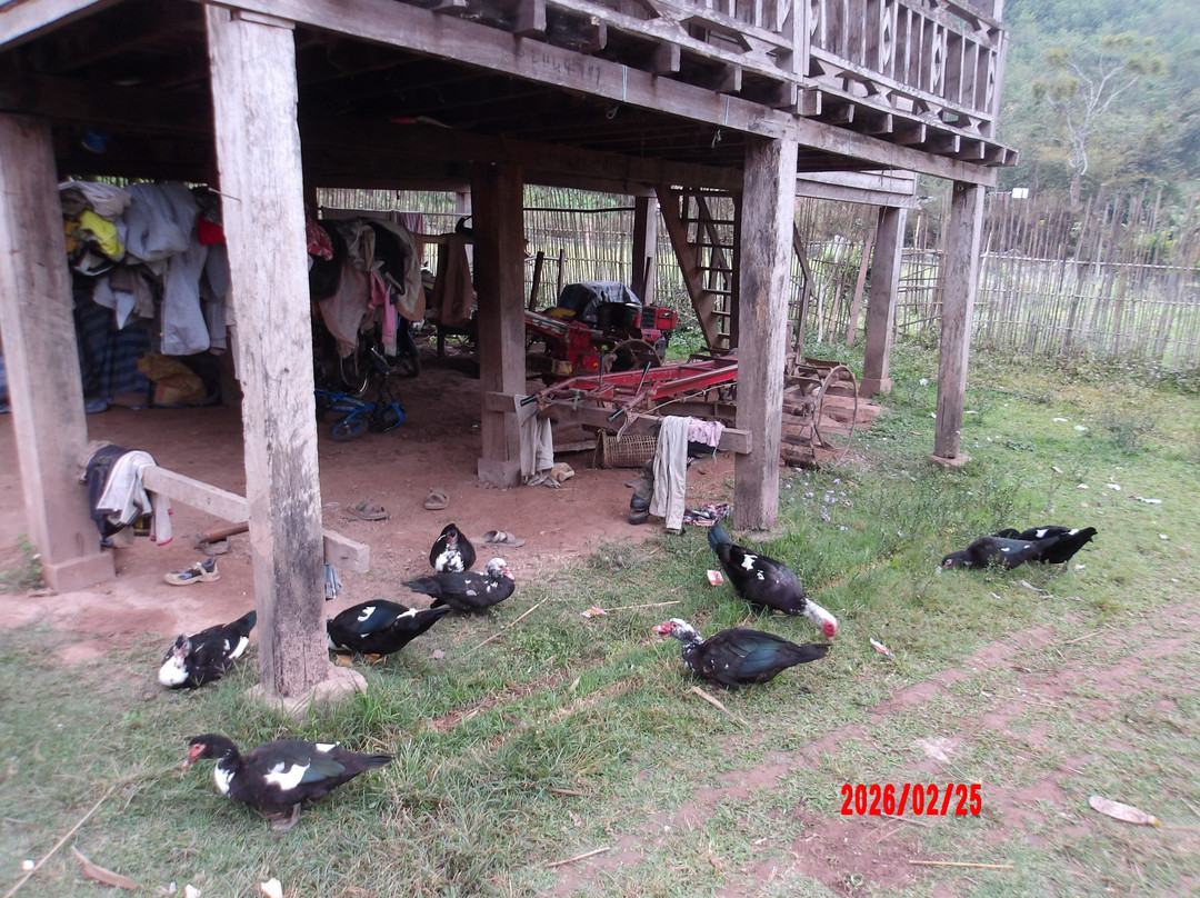 Phou Iu Travel & Ecotourism-琅南塔必去景点