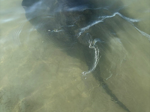 Dive Tatapouri-Gisborne Region必去景点