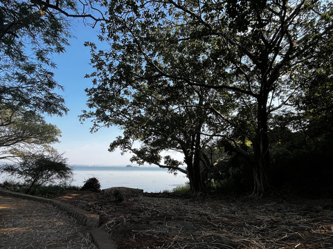 Awaze Tours-亚的斯亚贝巴必去景点