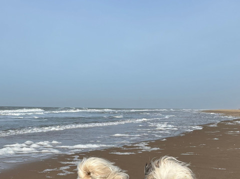 卡兰茨奥赫弗莱彻酒店主图