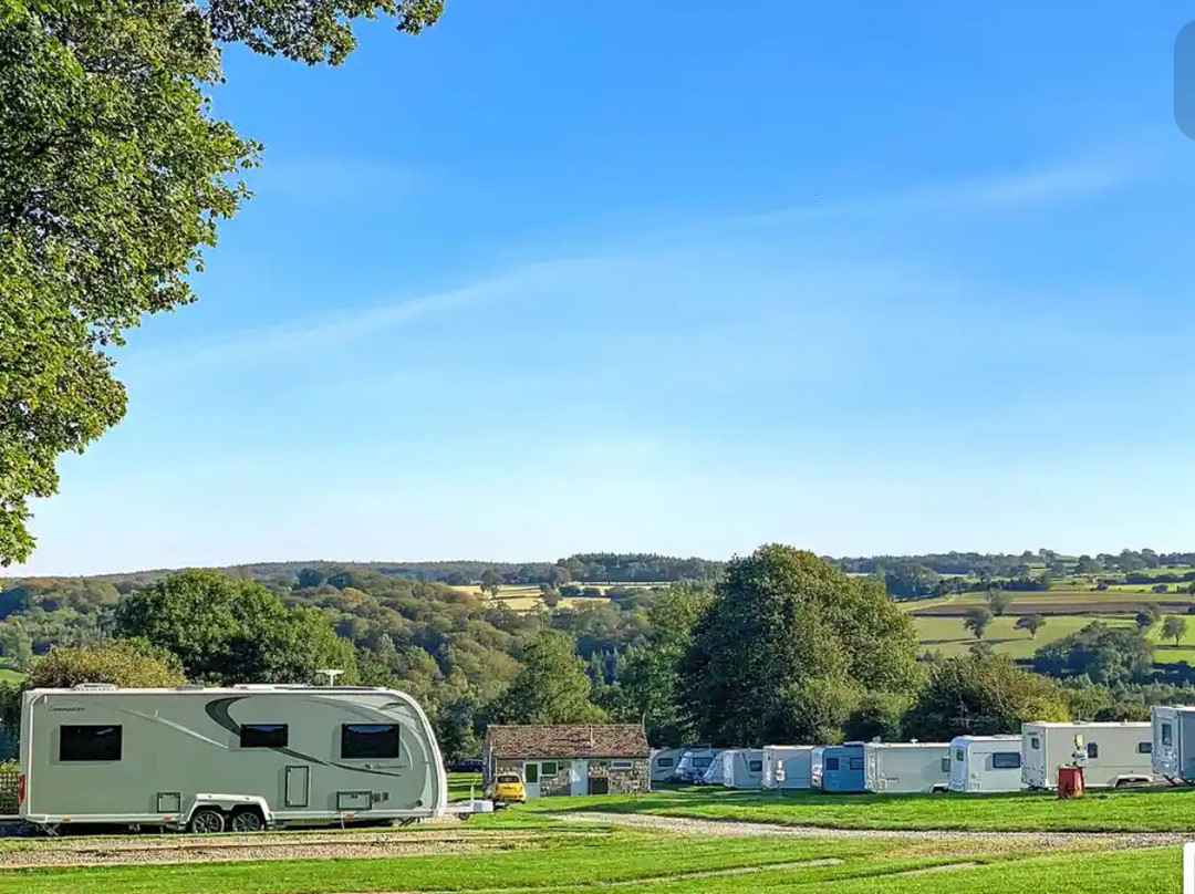 Black Swan Holiday Park