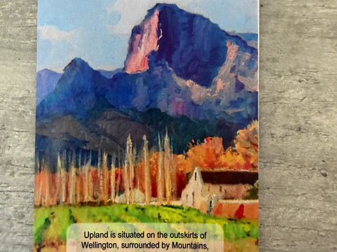 Upland Organic Wine-惠灵顿必去景点