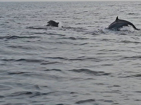 LK Travels & Tours SRI LANKA-卡尔库达必去景点