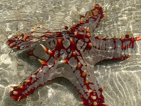 Sule Kenya Safari-瓦塔木必去景点