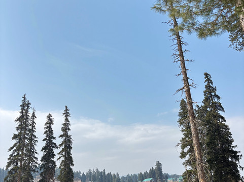 Nishat Tours And Travels-斯利那加必去景点