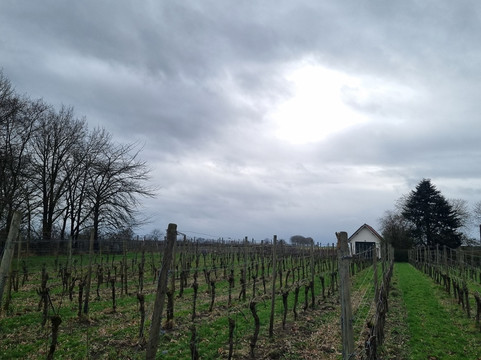 Wijnhoeve de Colonjes-Groesbeek必去景点