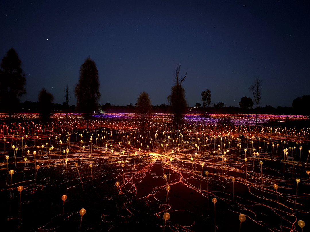 Field of Light-乌鲁鲁-卡塔丘塔国家公园必去景点