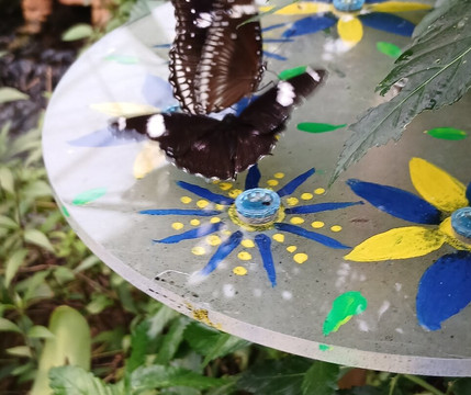 Stratford Butterfly Farm-埃文河畔斯特拉特福必去景点