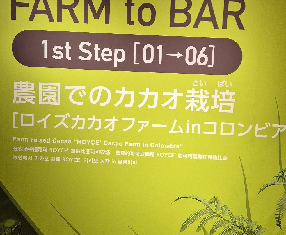 ROYCE' CACAO & CHOCOLATE TOWN-当别町必去景点