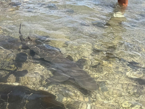 Explore Cape Verde-圣塔玛丽亚必去景点