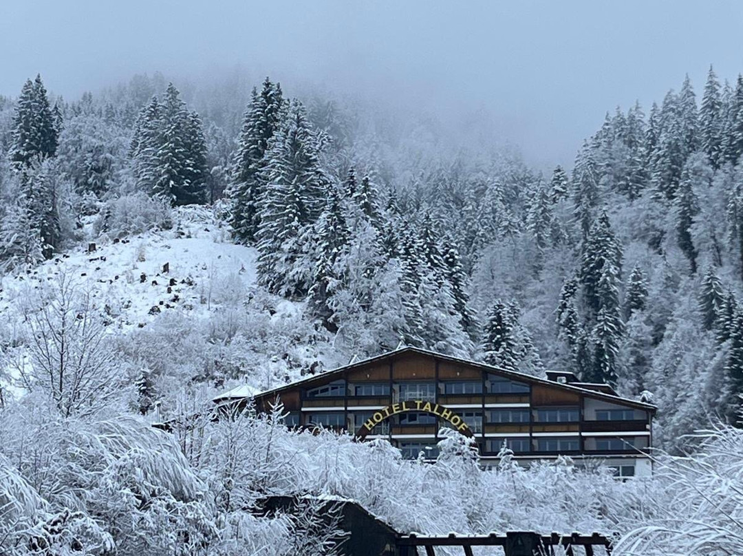Hotel Talhof Garni&More in Wängle Bei Reutte主图