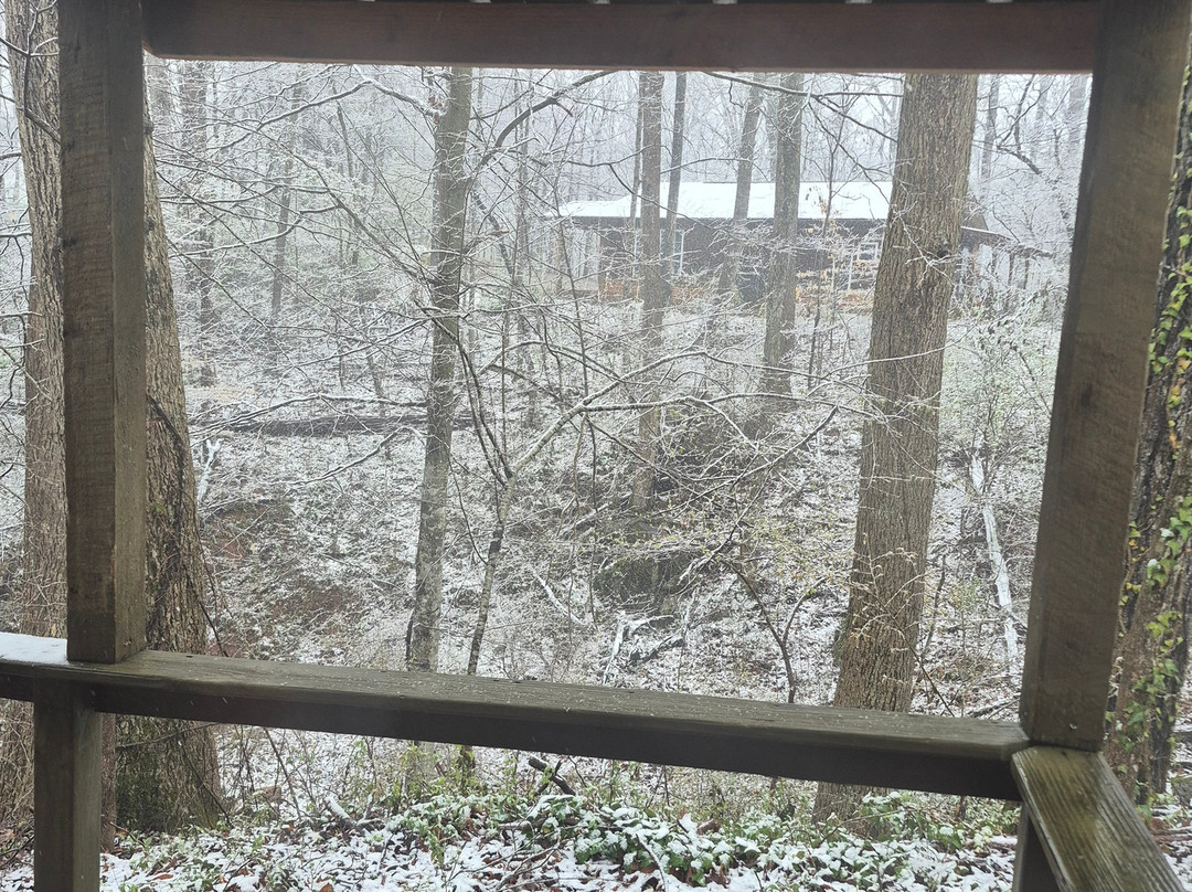 诺利丘基布拉夫小屋主图