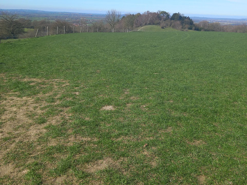 Coombe Hill-艾尔斯伯里必去景点