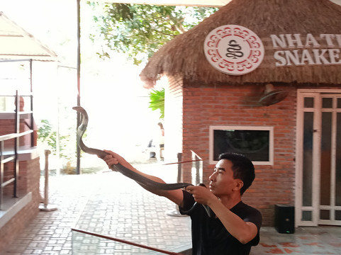 Nha Trang Snake Show-芽庄必去景点