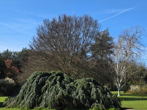 Priory Gardens-奥尔平顿必去景点
