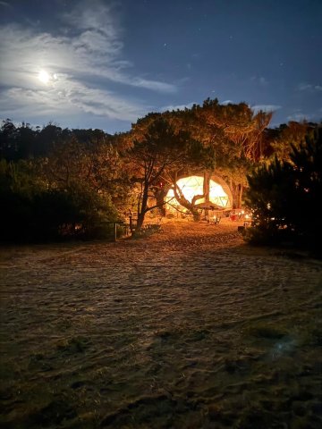 大爆炸自然住宿-官方