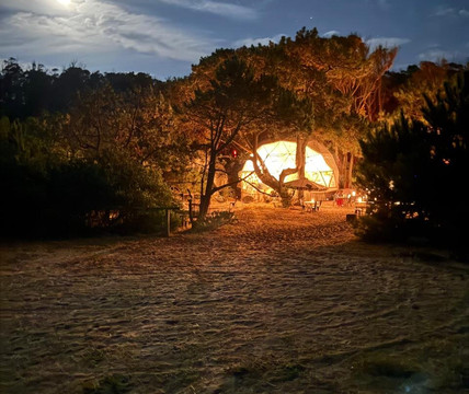 大爆炸自然住宿主图