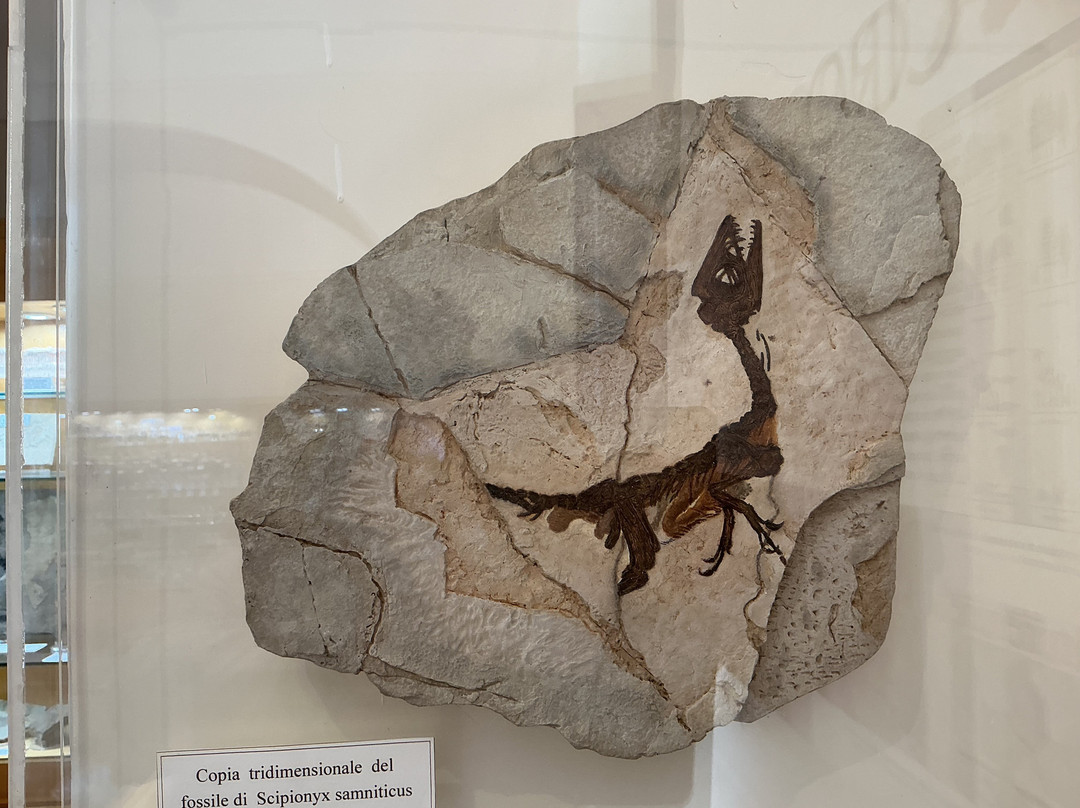 Museo Mineralogico Campano-维克艾库塞必去景点