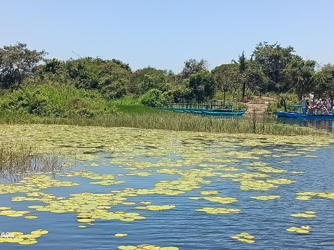 Fast Track Travels And Tours-Wattala必去景点
