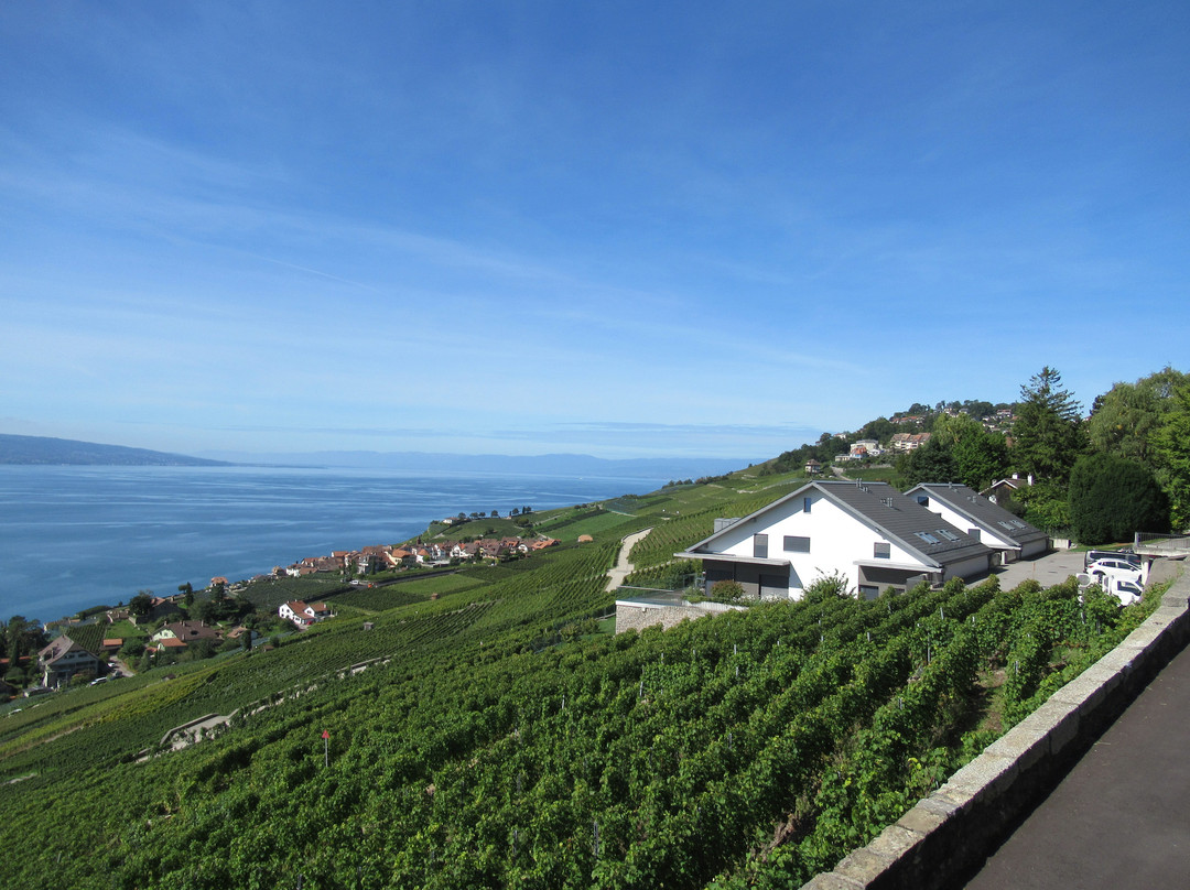 Photo Spot Lavaux-谢布尔必去景点