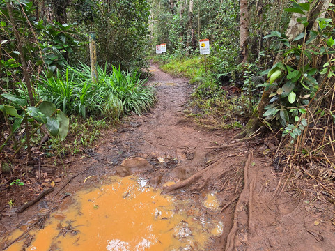 峡谷小道-威美亚必去景点