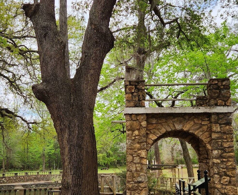 Radium Springs Gardens-奥尔巴尼必去景点