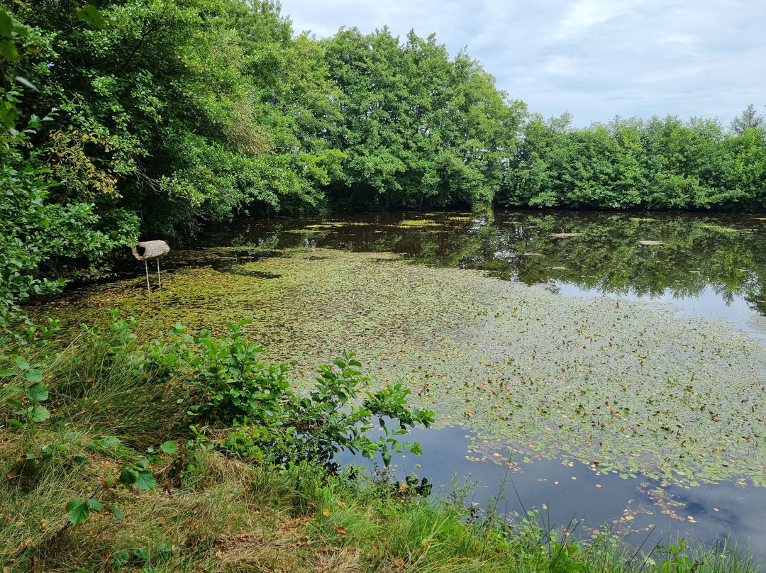 Sonderho Gl. Fuglekoje-法诺必去景点
