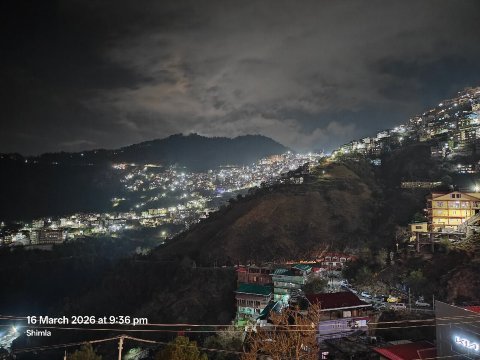 西姆拉兰花酒店-官方