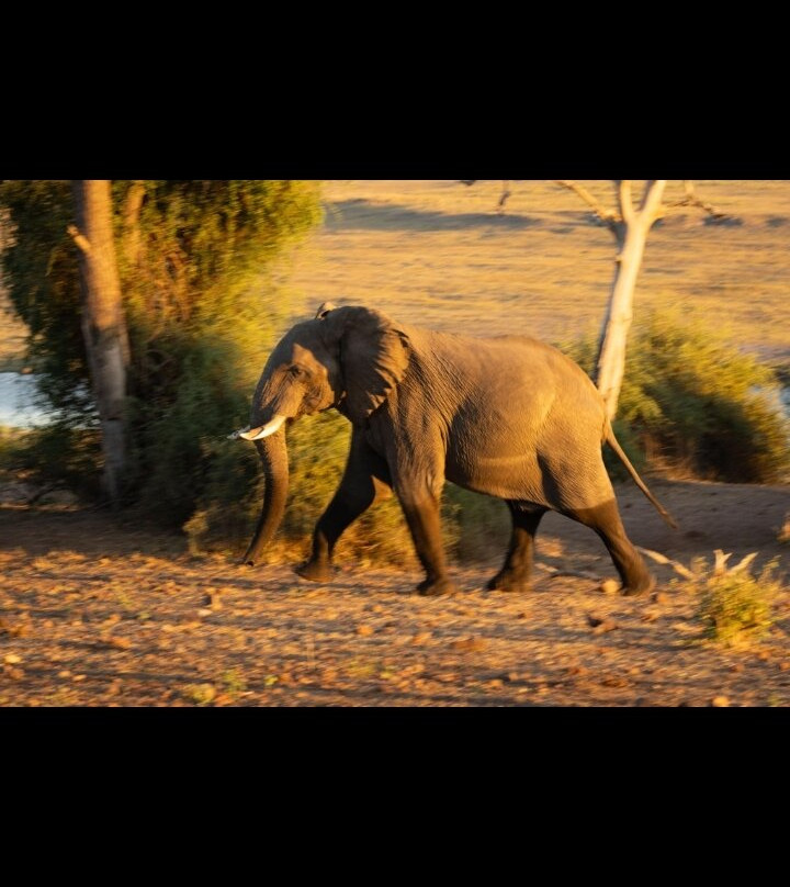 The big 7 tours and safari