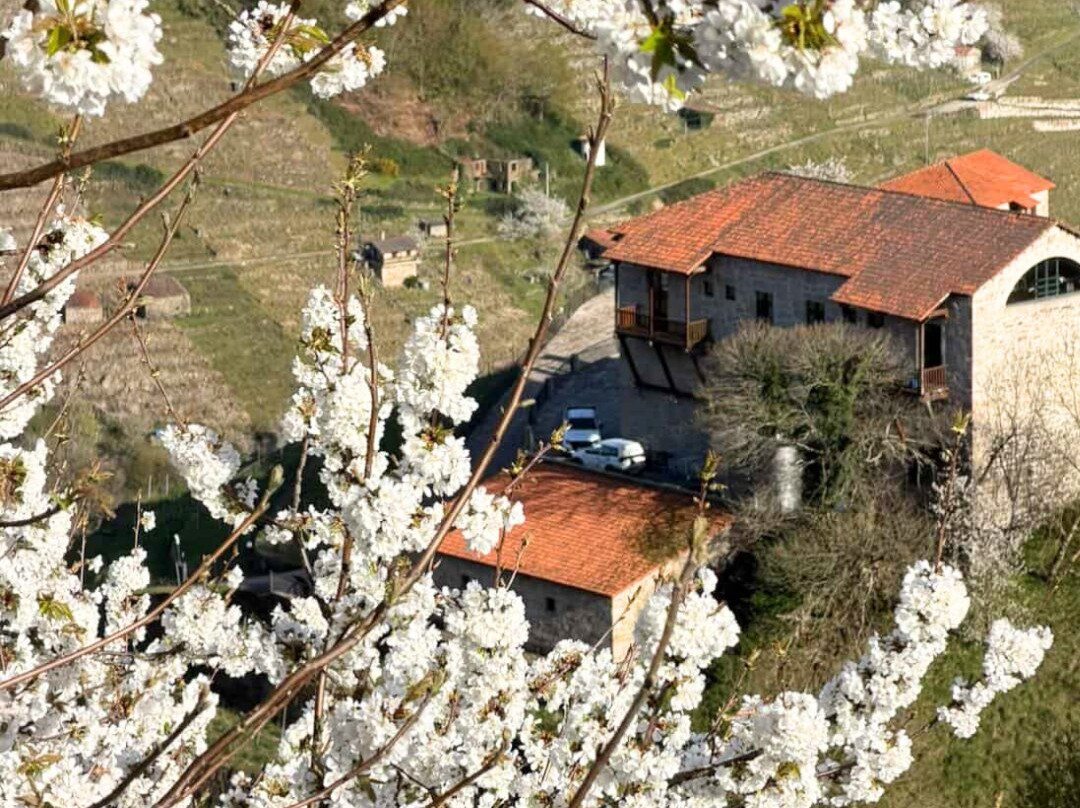Via Romana Adegas e Vinedos-Chantada必去景点