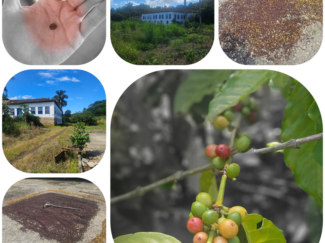 Fazenda da Taquara-Barra do Pirai必去景点