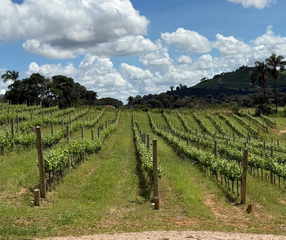 Vinícola Amana-Espirito Santo Do Pinhal必去景点