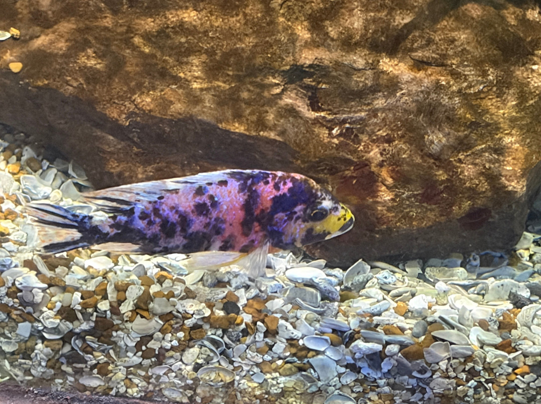 辛辛那提/沙伦维尔会议中心丽芙茵酒店主图